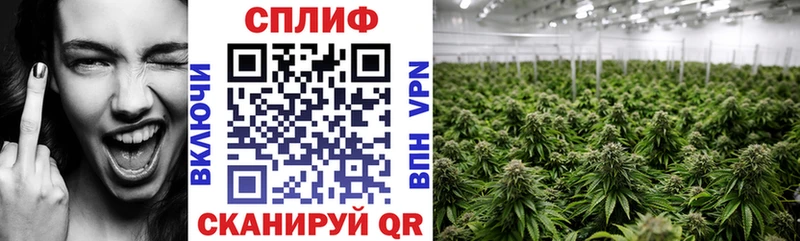 Названия наркотиков Касимов МАРИХУАНА  COCAIN  АМФ  Гашиш  APVP 