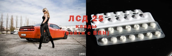 ГАЛЛЮЦИНОГЕННЫЕ ГРИБЫ Абаза