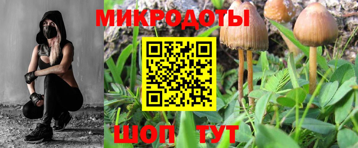 Галлюциногенные грибы MAGIC MUSHROOMS Касимов
